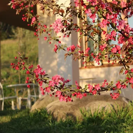 Le Sette Vie Homes Lägenhetshotell Monforte dʼAlba