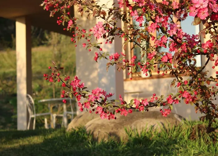 Le Sette Vie Homes Aparthotel Monforte dʼAlba